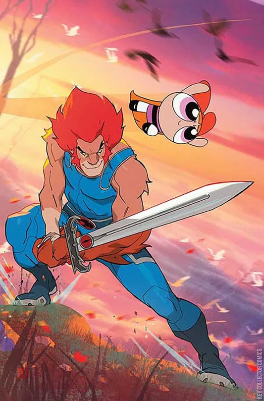 Thundercats / Powerpuff Girls #1